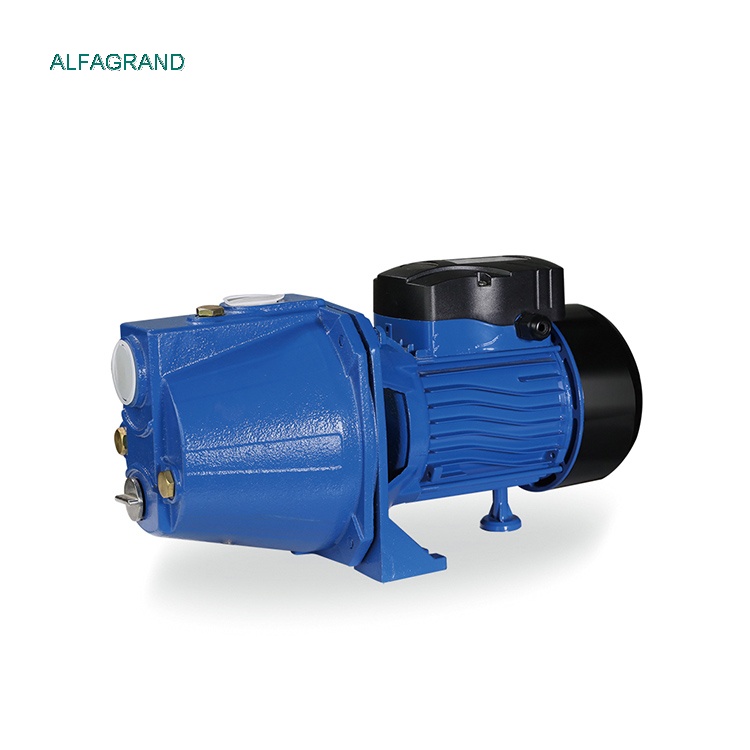 Single Phase Surface JET100S Electric Water Jet Pump For Watering Gardens